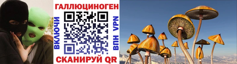 Галлюциногенные грибы Psilocybe  Купить где  Острогожск 